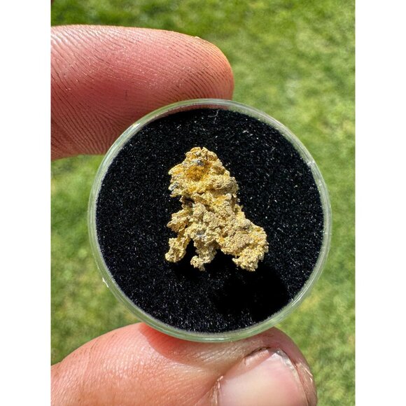 California Native Gold Crystal - 1.46 grams - Picture 4 of 5
